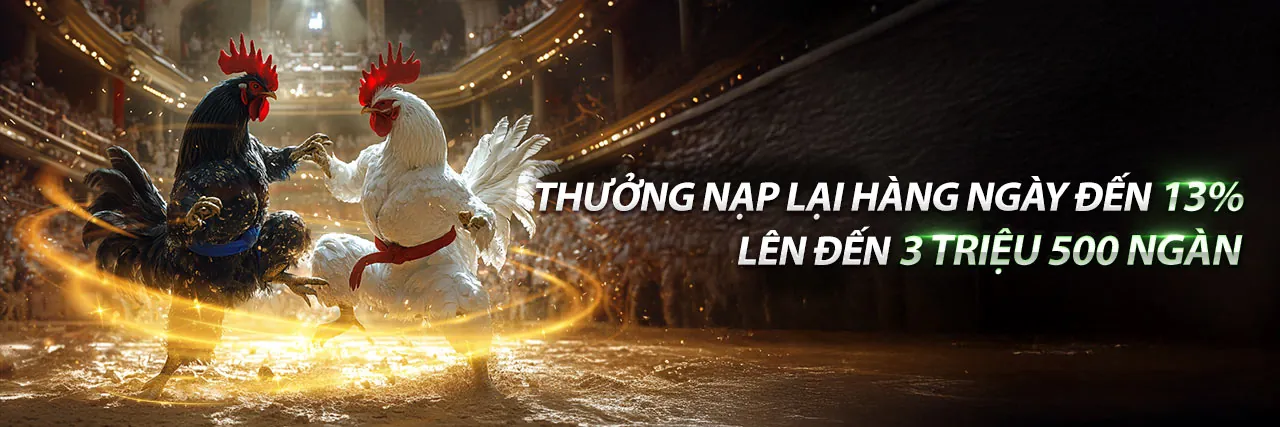 Sân đấu đá gà Alo789 trực tuyến